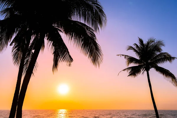 Mooie tree silhouet coconut palm op sky neary zee oceaan — Stockfoto