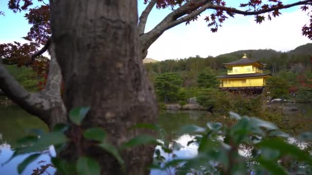 Güzel Geleneksel Japon Pagoda Doğal Görüntüleri — Stok video