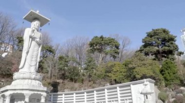 güzel geleneksel Japon pagoda doğal görüntüleri