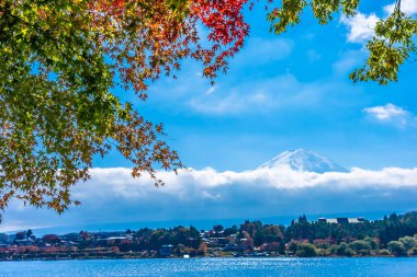 Dağ fuji ile akçaağaç yaprağı ağacın etrafında güzel manzara