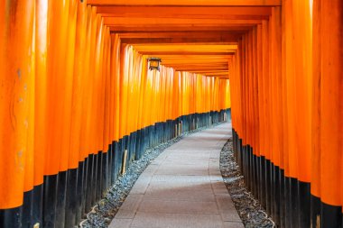 Güzel fushimi Inari tapınak tapınak Kyoto