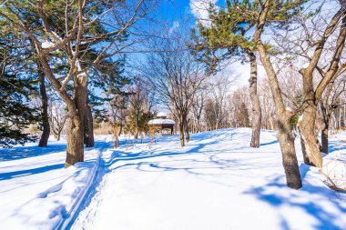 Kar kış sezonu ağacında ile güzel manzara