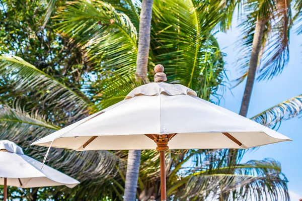 Красива тропічна природа на відкритому повітрі з білою парасолькою навколо боа — стокове фото