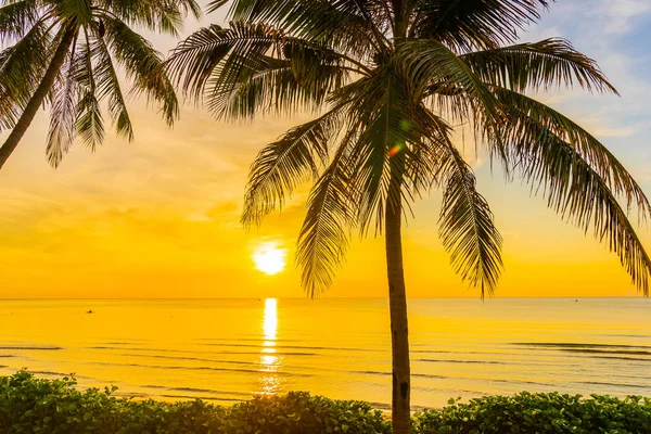 COC ile deniz Okyanusu plajının güzel açık tropikal manzara