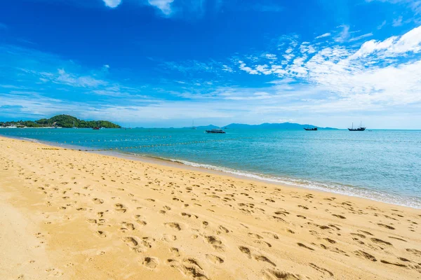 Hindistan cevizi palmiye ağacı ile güzel tropikal plaj deniz ve okyanus bir