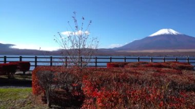 güzel dağ Fuji, Japonya doğal görüntüleri