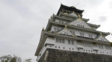 güzel geleneksel Japon pagoda doğal görüntüleri
