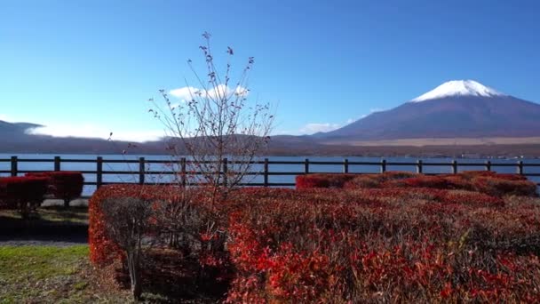 Riprese Panoramiche Della Bellissima Montagna Fuji Giappone — Video Stock