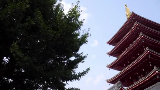 Szenische Aufnahmen Schöner Traditioneller Japanischer Pagode — Stockvideo