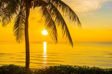 COC ile deniz Okyanusu plajının güzel açık tropikal manzara