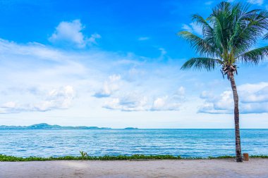 Hindistan cevizi palmiye ağacı Wi ile plaj deniz Okyanusu güzel manzara