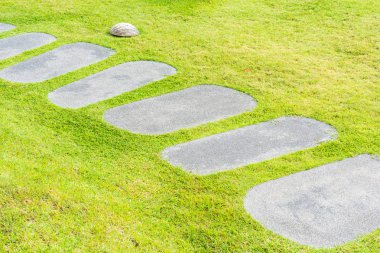 Güzel taş yol yürüyüş ve bahçede koşmak