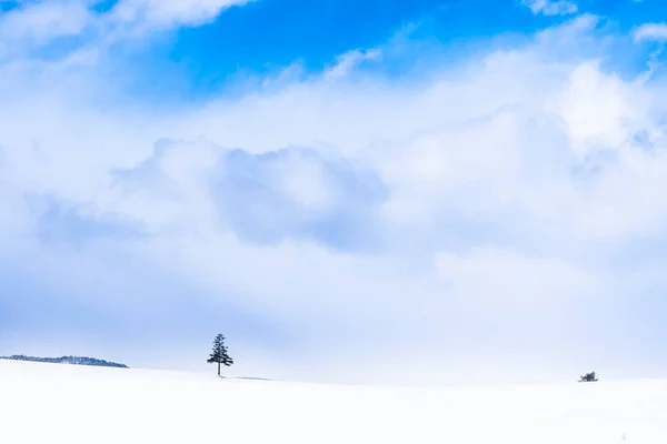 Vackra utomhus natur landskap med julgran i vinter — Stockfoto