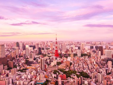 Tokyo 'nun etrafındaki mimari ve binaların güzel hava manzarası 