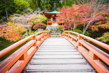 Güzel Daigoji Tapınağı ile renkli ağaç ve yaprak sonbahar s