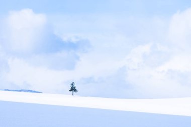 Güzel açık doğa manzara ile Noel ağacı kışın