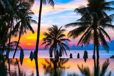 Yüzme havuzu güzel açık tropikal doğa manzara 