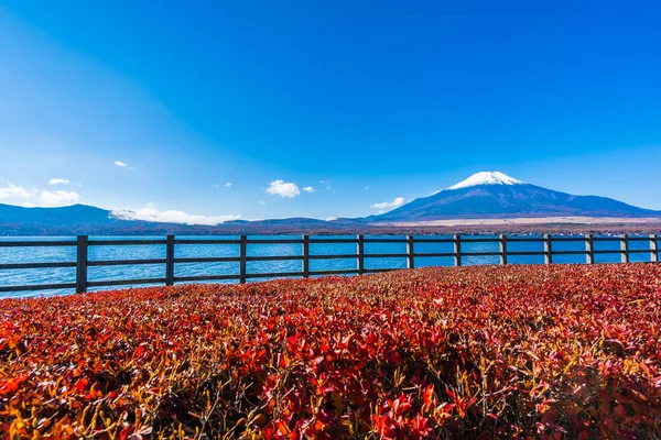 Schöne Landschaft des Berg-Fuji um den Yamanakako-See — Stockfoto