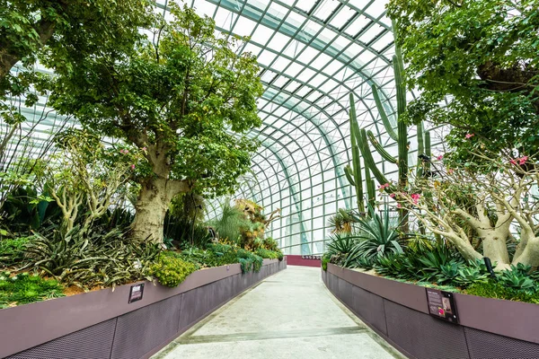 Çiçek kubbe Bahçesi ve greenhous bina güzel mimari