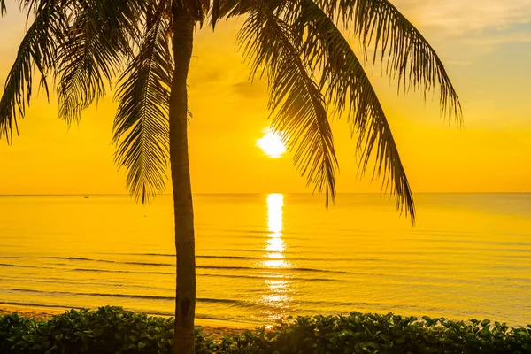 COC ile deniz Okyanusu plajının güzel açık tropikal manzara