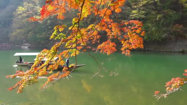 Scenic Close Footage Beautiful Autumnal Trees Branches Boat Passing Background — Stock Video