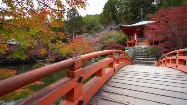 Vyhlídkové Záběry Nádherné Tradiční Japonské Pagody — Stock video