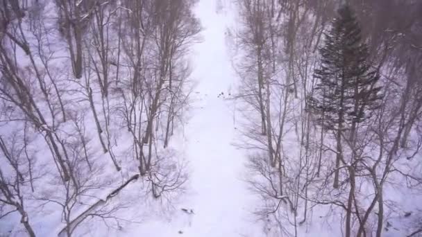 Festői Felvétel Gyönyörű Téli Táj Hokkaido Japán — Stock videók