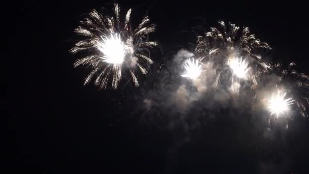 Imagens Perto Fogos Artifício Explodindo Céu Noturno — Vídeo de Stock