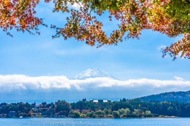 Dağ fuji ile akçaağaç yaprağı ağacın etrafında güzel manzara