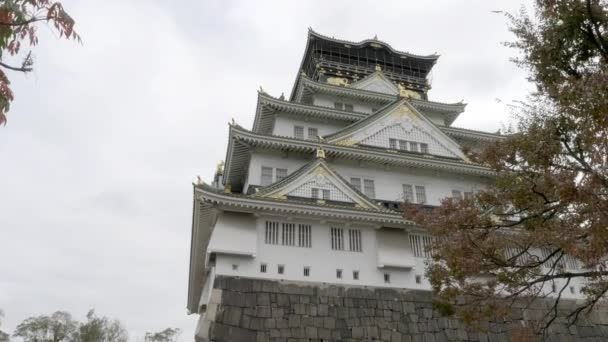 Imágenes Escénicas Hermosa Pagoda Japonesa Tradicional — Vídeo de stock