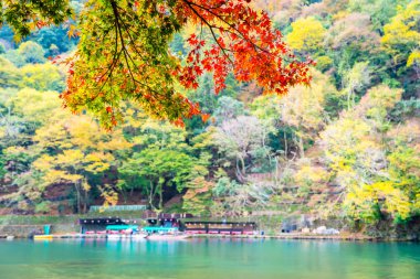 Akçaağaç ağaç yaprak ve etrafında tekne ile güzel Arashiyama Nehri 