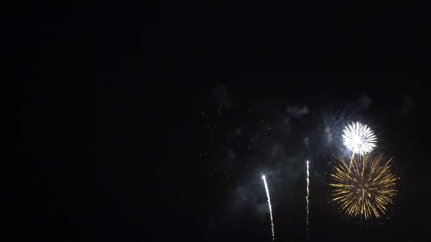 Close Upbeelden Van Vuurwerk Dat Ontploft Nachtelijke Hemel — Stockvideo