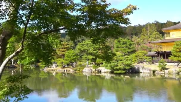Vyhlídkové Záběry Nádherné Tradiční Japonské Pagody — Stock video
