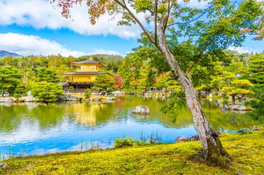 Kyoto Japonya'da altın köşk ile güzel Kinkakuji Tapınağı