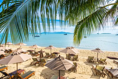 Hindistan cevizi palmiye ağacı ile güzel tropikal plaj deniz ve okyanus bir