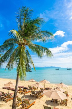 Hindistan cevizi palmiye ağacı ile güzel tropikal plaj deniz ve okyanus bir