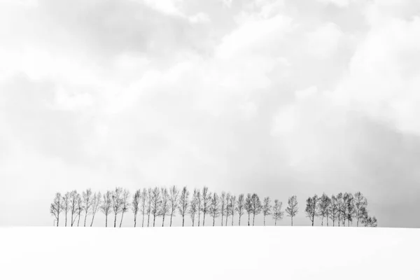 Bela paisagem natural ao ar livre com grupo de árvore ramo em — Fotografia de Stock