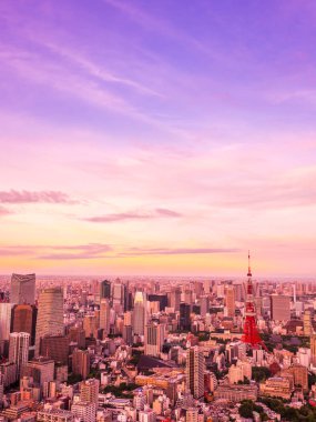 Tokyo 'nun etrafındaki mimari ve binaların güzel hava manzarası 