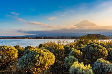 Dağ fuji ile akçaağaç yaprağı ağacın etrafında güzel manzara