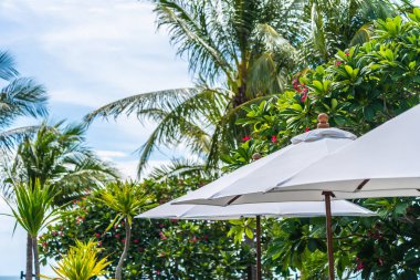 Üzerinde hindistan cevizi palmiye ağacı ile şemsiye seçici odak noktası 