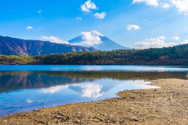Dağ fuji ile akçaağaç yaprağı ağacın etrafında güzel manzara
