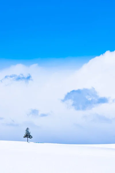 Hermoso paisaje natural al aire libre con árbol de Navidad en invierno — Foto de Stock