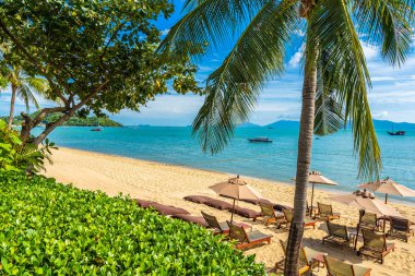 Hindistan cevizi palmiye ağacı ile güzel tropikal plaj deniz ve okyanus bir