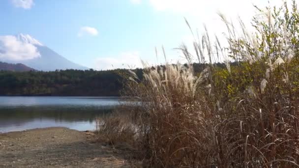 Images Panoramiques Belle Montagne Fuji Japon — Video