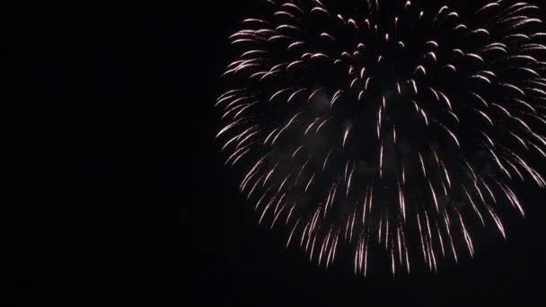 Imágenes Cerca Fuegos Artificiales Que Explotan Cielo Nocturno — Vídeos de Stock