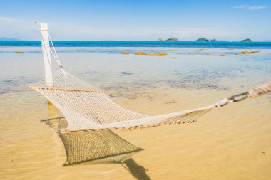 Holi için tropikal plaj deniz okyanusu etrafında güzel boş hamak