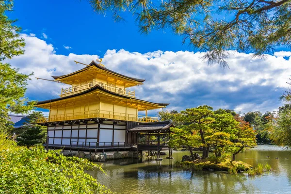 Kyoto Japonya'da altın köşk ile güzel Kinkakuji Tapınağı