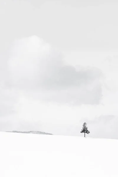 Schöne Naturlandschaft im Freien mit Weihnachtsbaum im Winter — Stockfoto