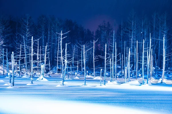 Mavi Göl nehir l ile gece ile güzel açık peyzaj