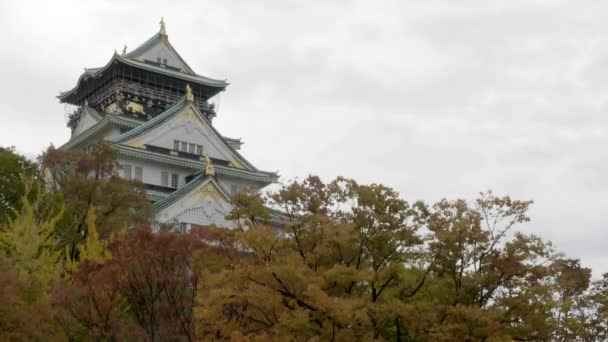 Látványos Felvételeket Gyönyörű Hagyományos Japán Pagoda — Stock videók